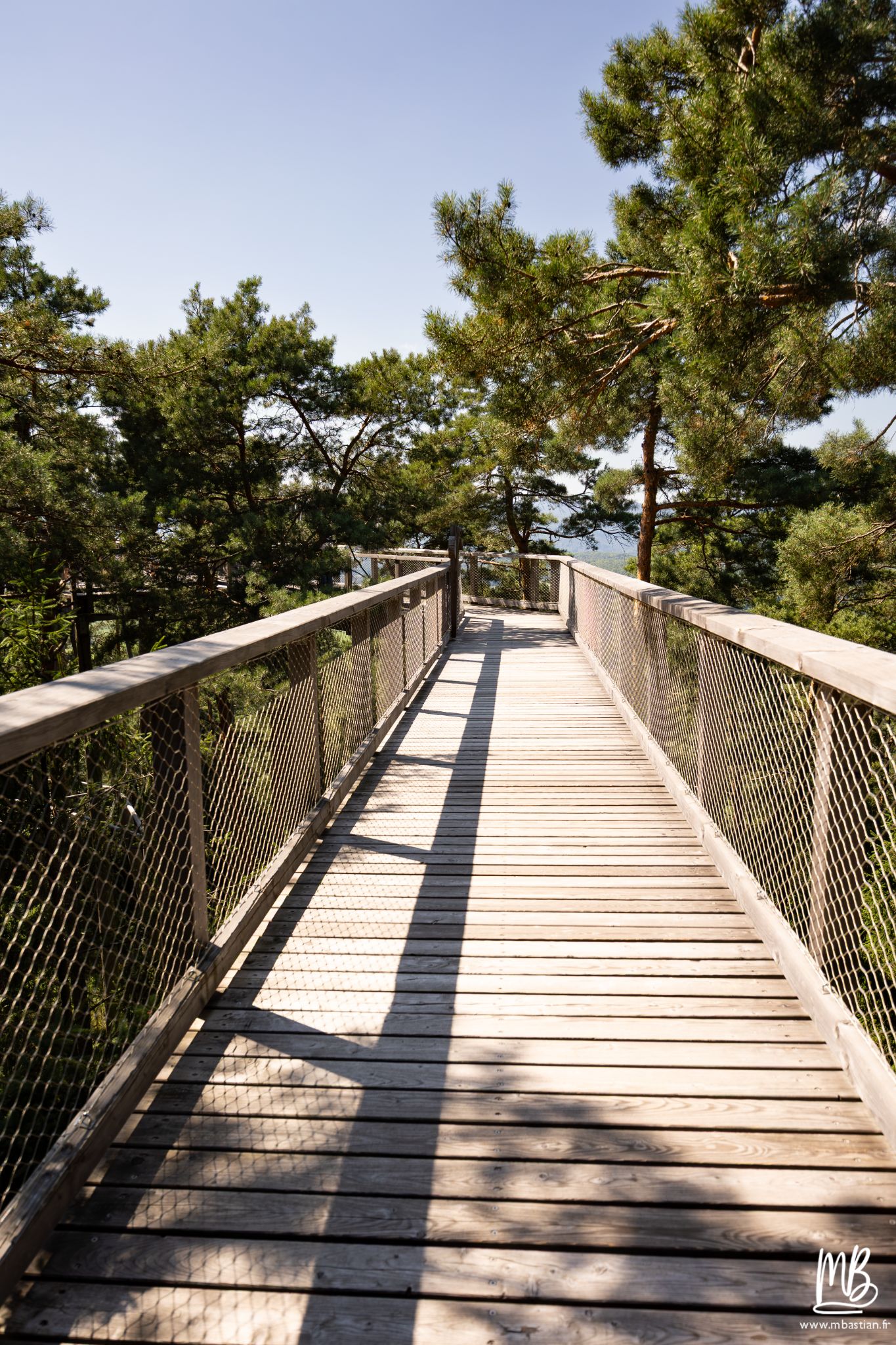 20250810 Le chemin des cimes MB 7